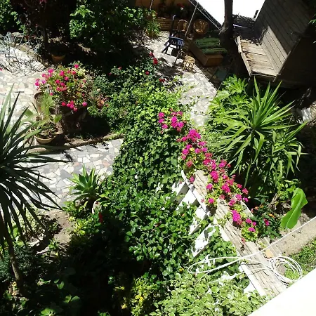 Bahia Blanca - * Cádiz